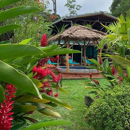 Bed and Breakfast Casa Mambo Cahuita Exteriér fotografie