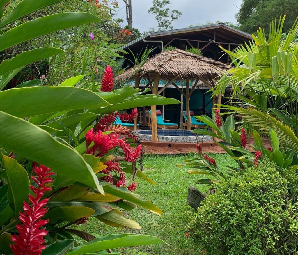Bed and Breakfast Casa Mambo Cahuita Exteriér fotografie