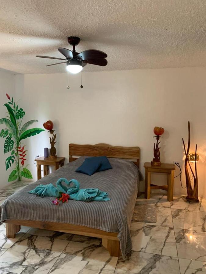 Bed and Breakfast Casa Mambo Cahuita Exteriér fotografie