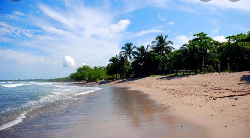 Bed and Breakfast Casa Mambo Cahuita Exteriér fotografie